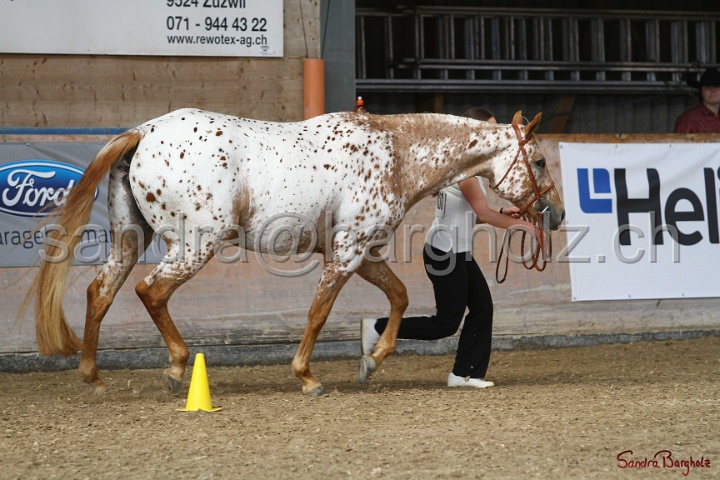 24-ApHC HIH_055.jpg